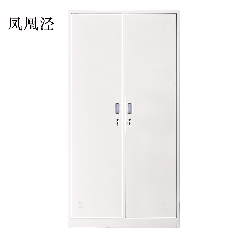 凤凰泾加厚二门钢制更衣柜员工柜铁皮职工储物柜带锁存包柜鞋柜