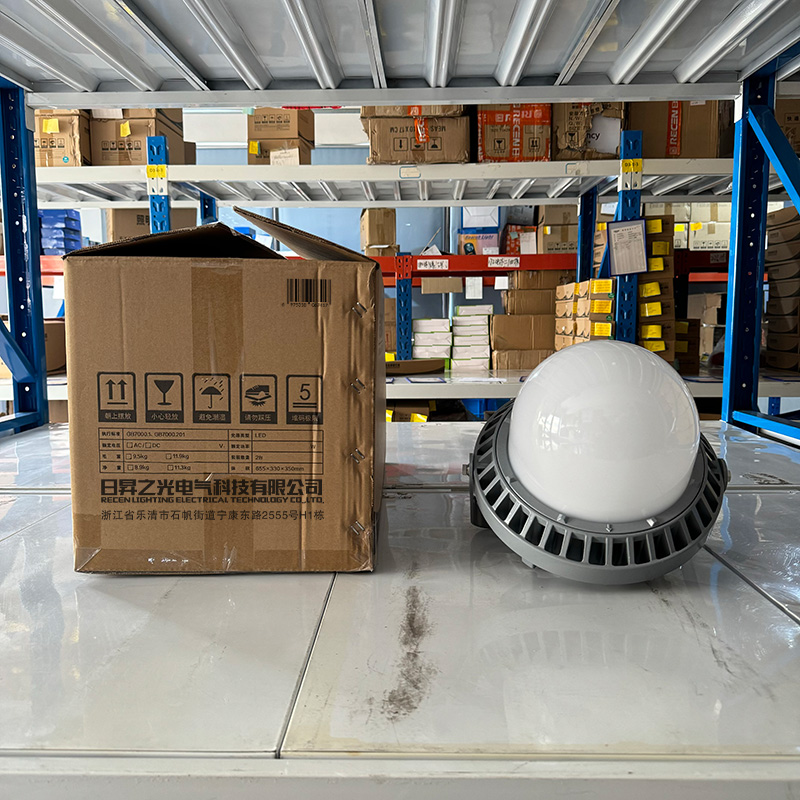 RECEN RGPL229-100W 固定式LED灯具 个高清大图