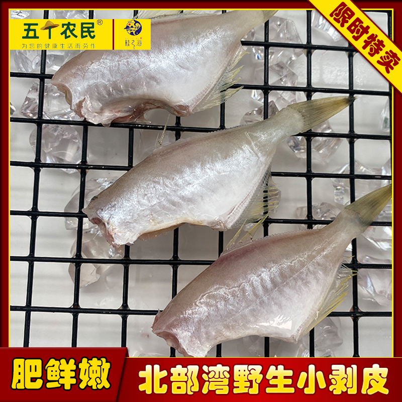 桂之海北部湾野生小剥皮鱼400克*3包去头去内脏新鲜冷冻马面鱼扒皮鱼耗儿鱼高清大图