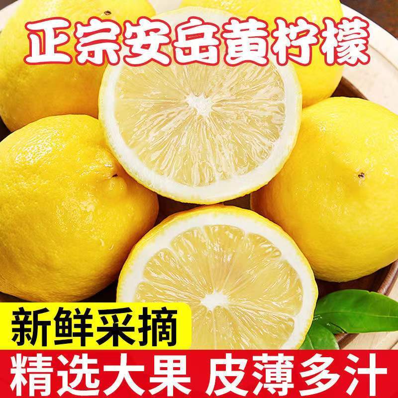 新鲜黄柠檬 1kg黄柠檬