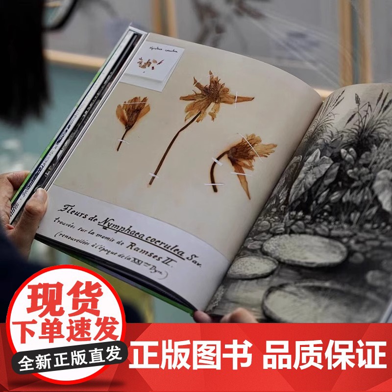 正版 看得见的自然史 法国国家自然博物馆出品 赠藏书票便签本 影像版自然史 约200件非凡藏品 博物学收藏艺术画册国高清大图