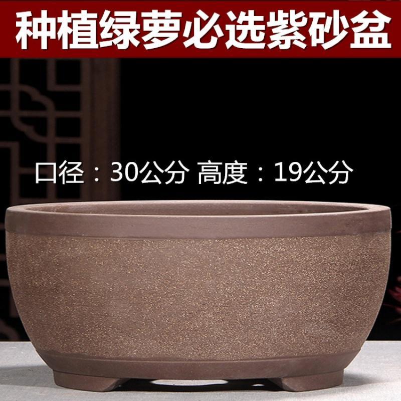 小花盆紫砂花盆兰植物大绿萝花盆古典花盆陶瓷兰花花盆日用家居