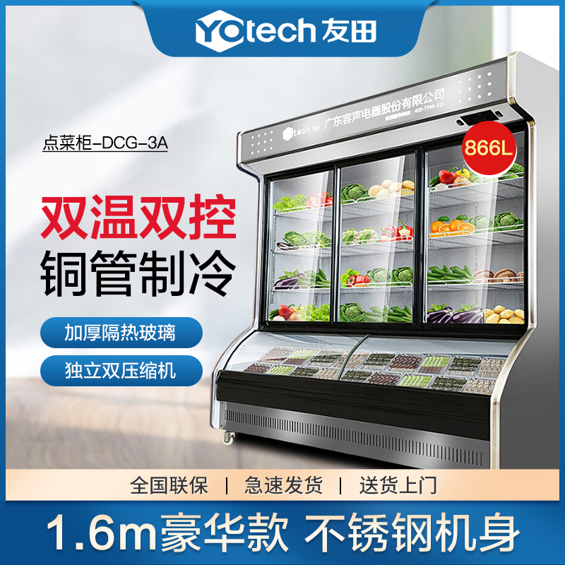 友田YOUTIAN商用点菜柜冷藏冷冻冰柜饭店麻辣烫烧烤串串大型展示陈列柜DCG-3A豪华版
