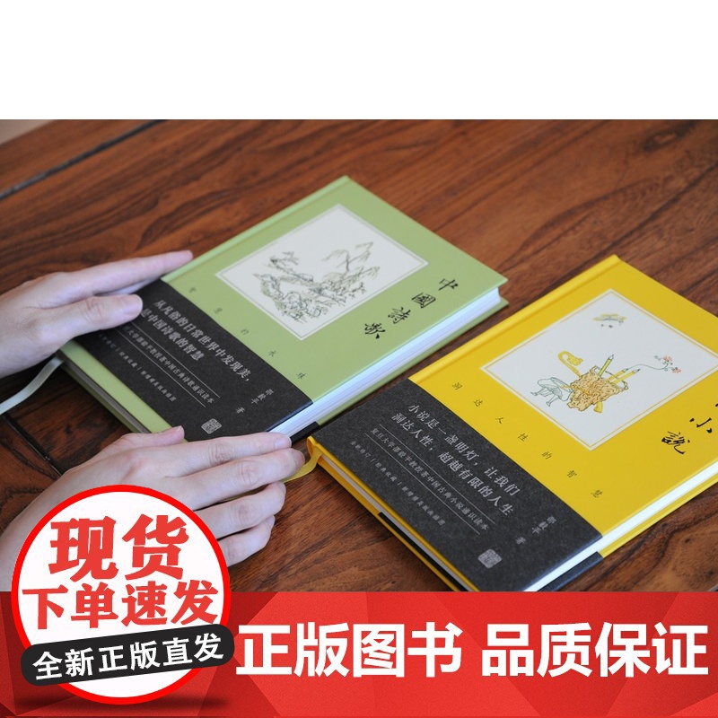 中国诗歌/中国小说 复旦大学邵毅平教授著上海古籍出版社中国古典文学诗歌小说通史读本高清大图