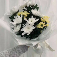 鼎卉鲜花速递清明节扫墓上坟殡葬鲜花10朵白菊花花束丧事吊唁祭奠追悼全国同城配送【流芳百世】10朵白菊花束