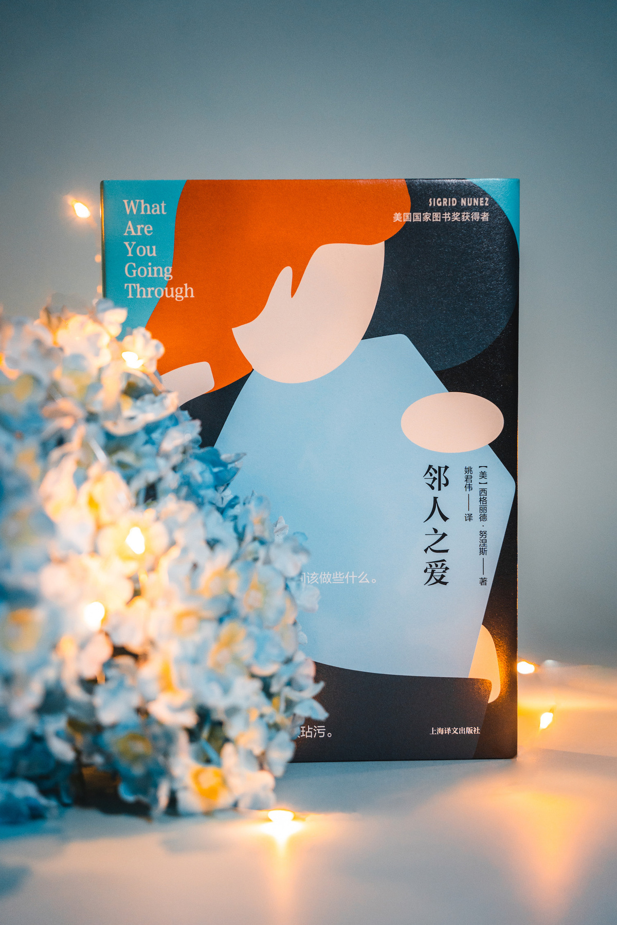 [正版]邻人之爱 [美] 西格丽德·努涅斯 著 姚君伟 译 美国国家图书奖得主力作 娜塔莉·波特曼 上海译文出版社高清大图
