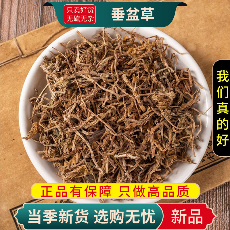 垂盆草100克正品狗牙草佛指甲瓜子狗牙瓣另售蒲公英9260高清大图