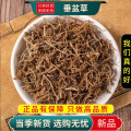 沈之问 垂盆草100克/一袋