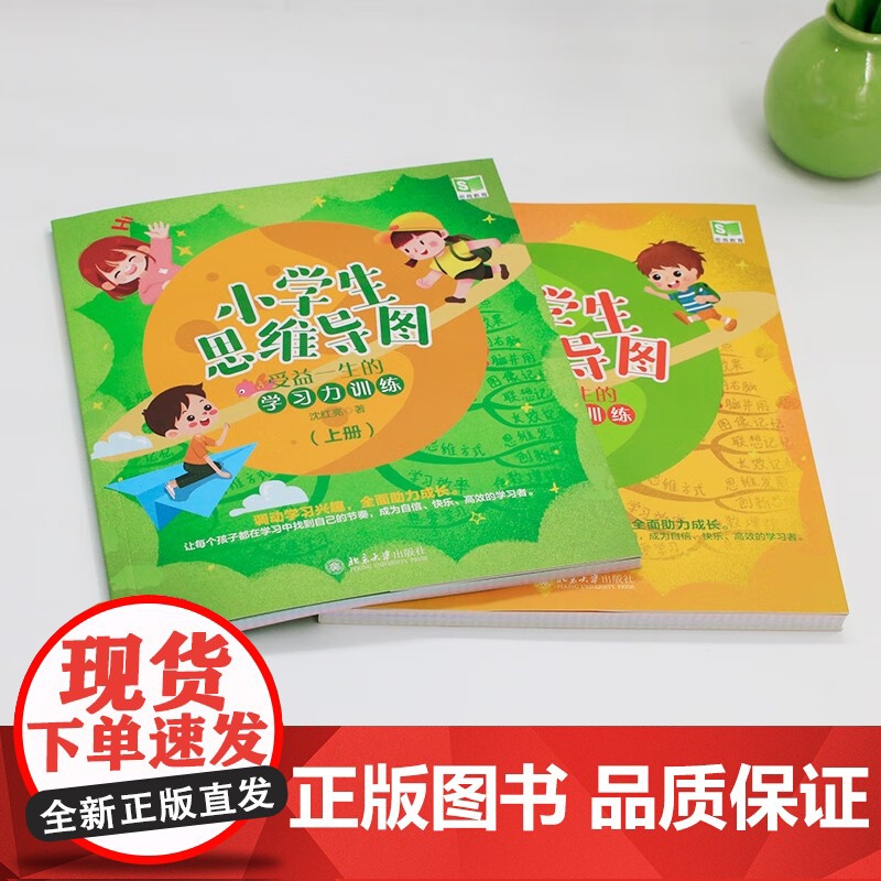 小学生思维导图 受益一生的学习力训练 上下册 沈红亮 著 教辅高清大图