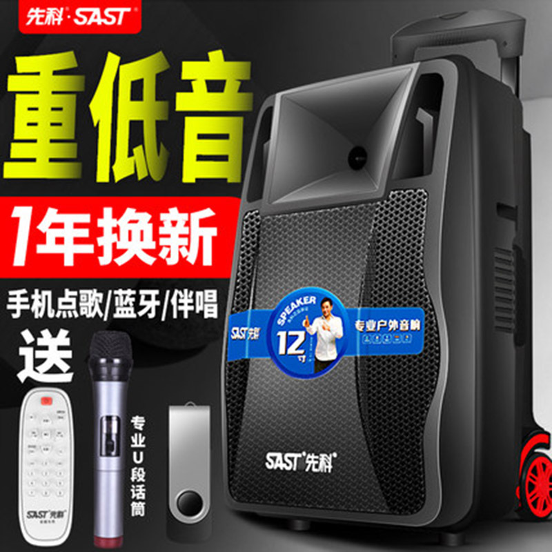 先科天韵2号广场舞音响音箱户外带无线话筒K歌家用拉杆移动便携式大功率充电蓝牙舞台重低音室外演出播放器12寸 标配+双话筒