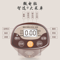 天际(TONZE)隔水电炖炖锅隔炖紫砂内胆燕窝炖盅煮粥煲汤锅可做酸奶多功能易清洗2.5升DGD25-25ZWG