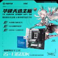 天选TX GAMING B760M WIFI D4+13600K