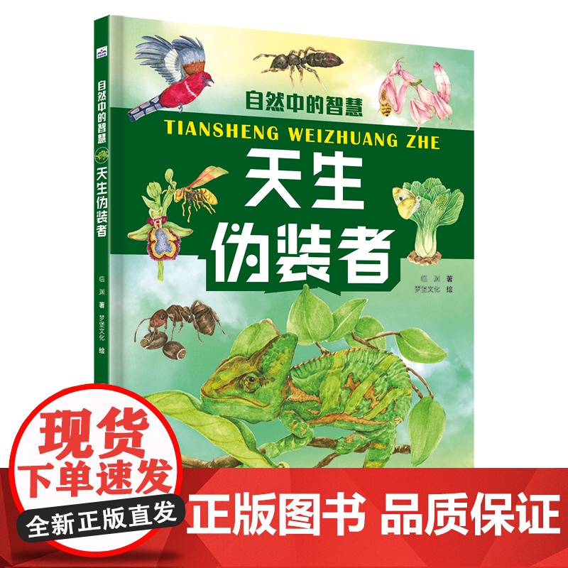 自然中的智慧—天生伪装者高清大图