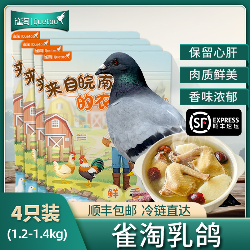 [苏鲜生推荐]雀淘 新鲜现杀乳鸽4只装 300-350g/只 原粮鸽子肉土鸽子肉鸽煲汤滋补