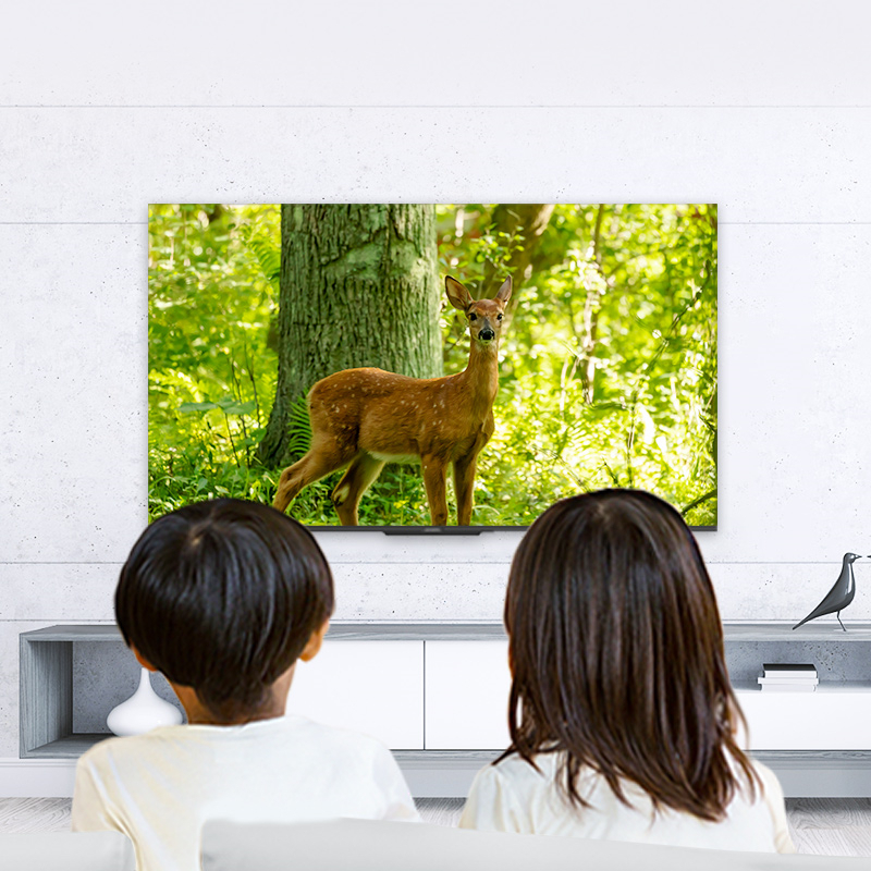 劳保日用>大家电>家用视听设备>创维(skyworth)>创维65g2265英寸4k超