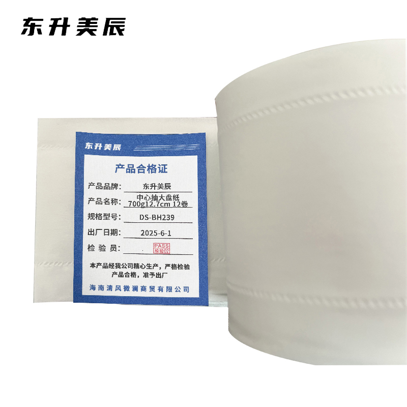 东升美辰 中心抽大盘纸700g12.7cm 12卷 DS-BH239 箱高清大图