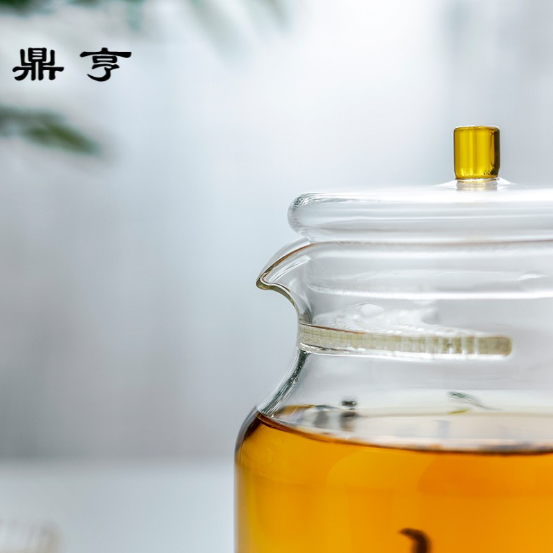 鼎亨手工吹制高温耐热玻璃过滤煮茶器小泡茶壶花茶锤纹功夫可明火