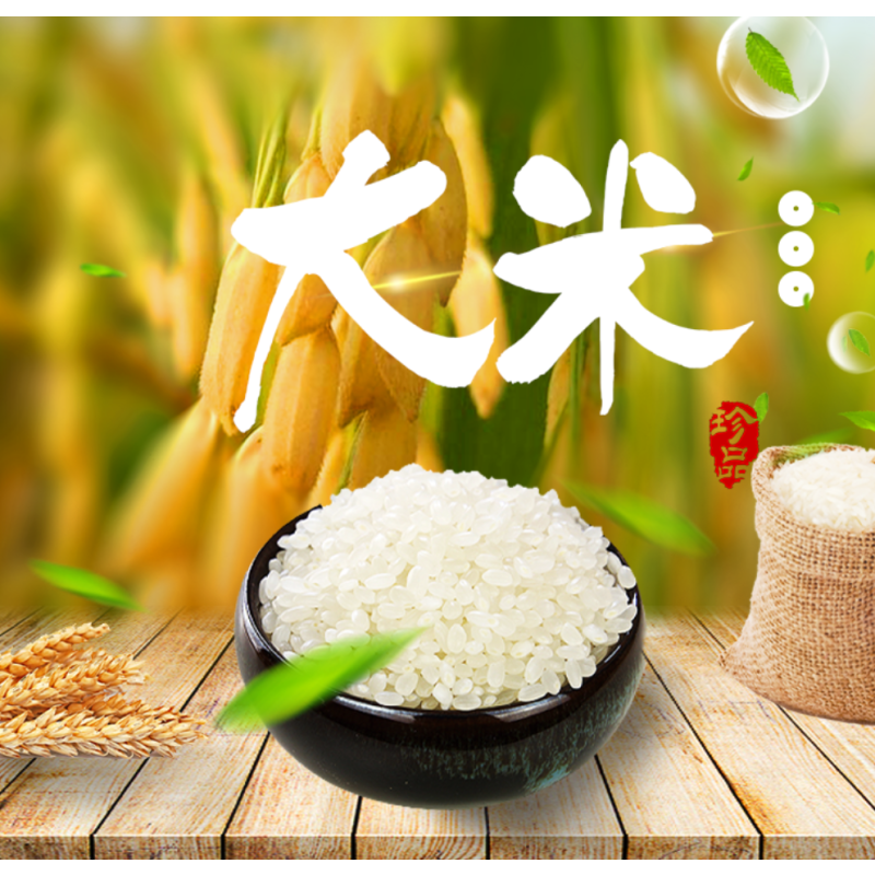 CCSM 东北长粒香大米 10kg/袋 4袋一箱