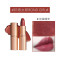 CT夏洛特口红迷你小样1.1g 提升气色秋冬显白不易掉色walk of no shame哑光 豆沙砖红色