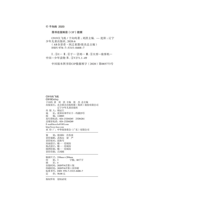 [正版]书籍 AR全景看 国之重器 C919大飞机 儿童幼儿基础科学知识读物图书 什么是飞机 小学生科普入门 课外阅读书