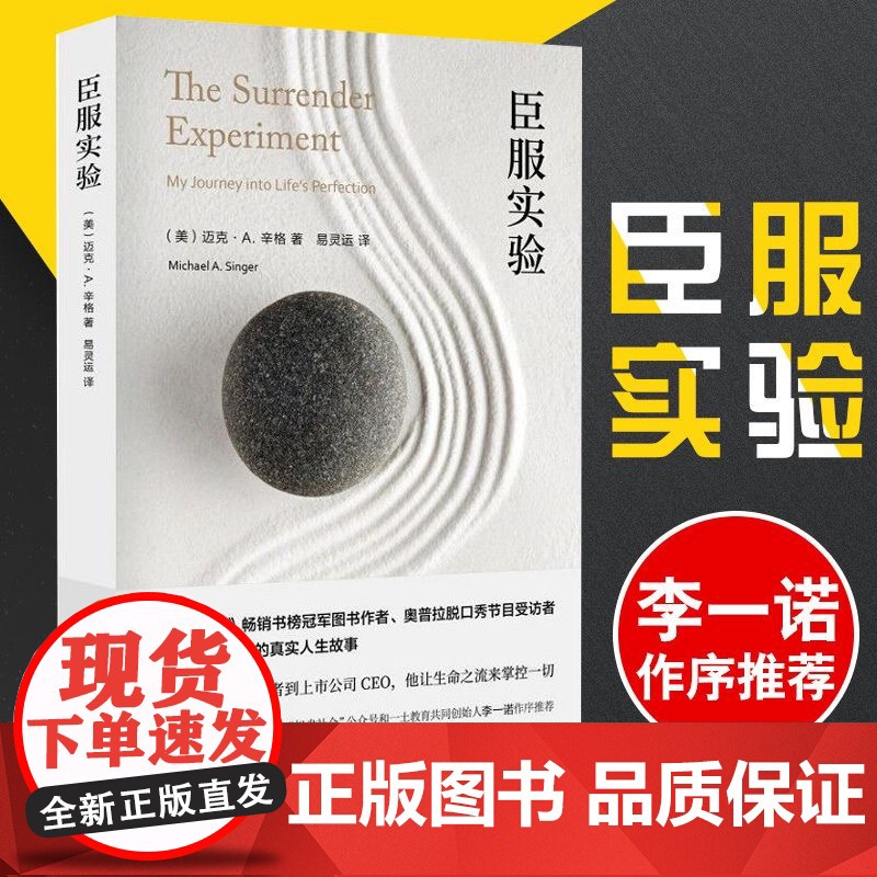 臣服实验 迈克·A.辛格著 书不羁的灵魂的作者真真实的人生故事纽约时报书 励志书籍 书高清大图
