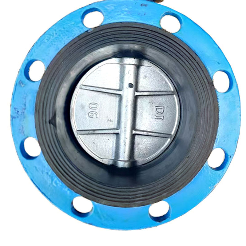 瑞吉君 法兰蝶阀 DN100 个高清大图