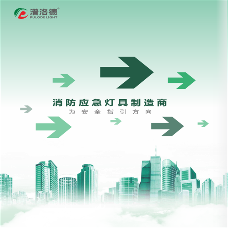 潽洛德(PULODELIGHT)330应急吸顶灯PL3017