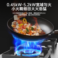 华帝家用燃气灶i10316A不锈钢燃气灶具5.2kw无极宽域调火可拆卸炉头易清洁 全新不锈钢升级版天然气