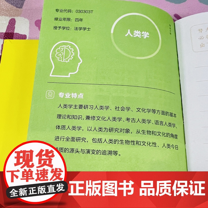 2024年日历 揭秘大学新版龙年日历摆件台历大学城参考介绍高考非倒计时创意日历指南励志学生摆台高考选校预备书大学启蒙书高清大图