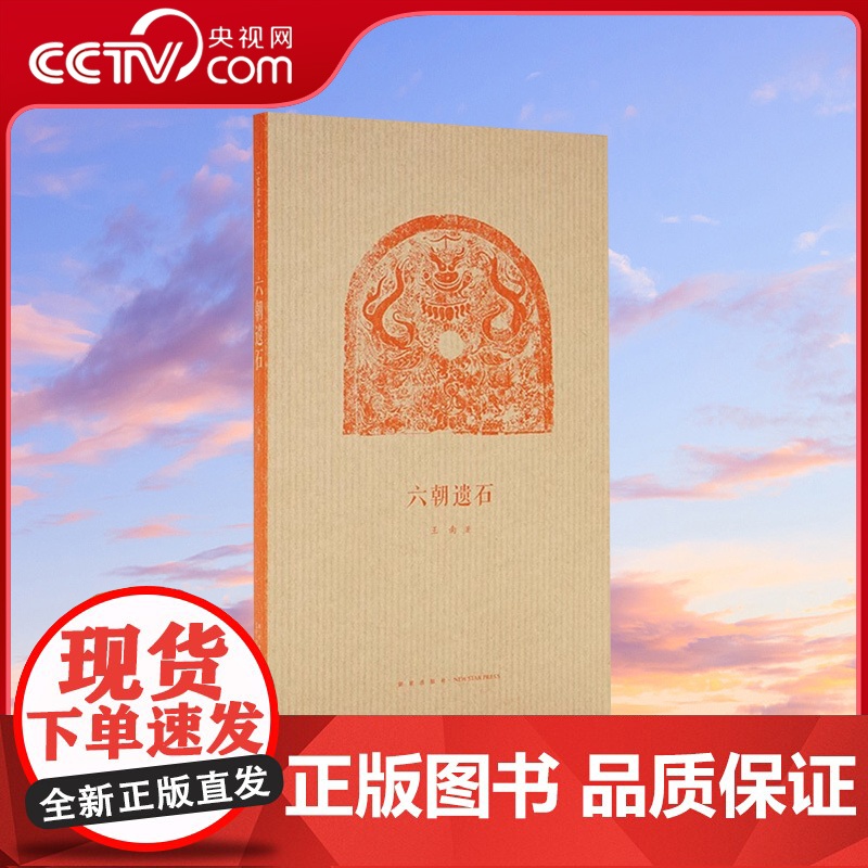 【央视网】读小库王南建筑史诗系列 六朝遗石 六朝陵墓建筑与石雕遗存 南朝陵墓中国古代建筑历史考古文物资料读库口袋书小书D