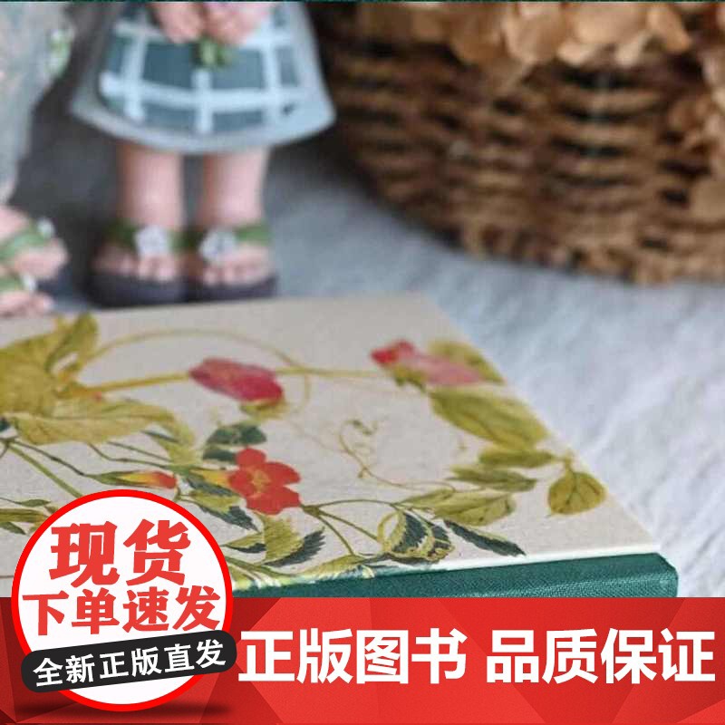 诗经草木集 礼盒装 绿手指文创 520礼遇记 礼物女生高清大图