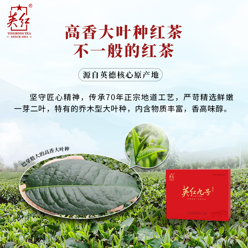 英红牌 英红九号红茶浓香型茶叶 优品双罐500g[罐装组合250g*2罐]高清大图