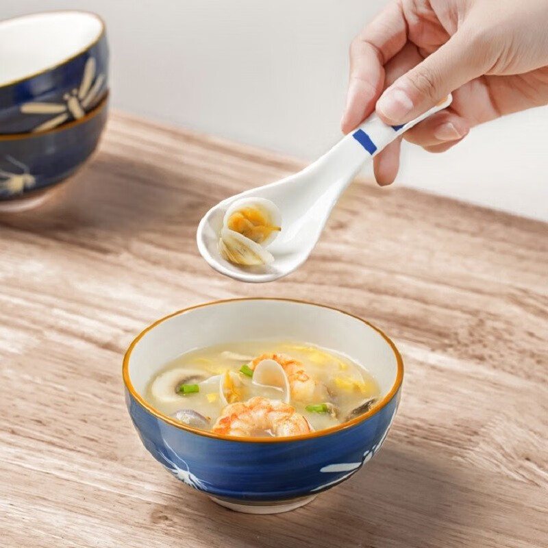 苏泊尔(SUPOR)光净釉餐具套装 光净釉餐具套装青森系列4头 TK2184E