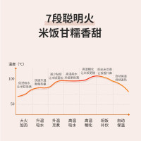九阳(Joyoung)电饭煲家用4升柴火饭大火力快煮智能预约多功能焖煮防溢电饭煲电饭锅F-40FZ815