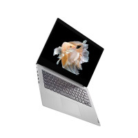 联想(Lenovo)IdeaPad14s 14英寸笔记本电脑(10代i3 8G 2T+512G) 定制 小新青春姊妹款 办公学习网课本 国民轻薄本