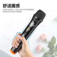 先科 SAST OK-91 无线麦克风 话筒 家庭KTV会议专用K歌卡拉OK唱歌主播网络电教演讲户外插音响音箱 黑