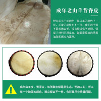 莫森(MOSEN)10英寸非洲鼓 进口桃花芯木老山羊皮面手鼓 实木雕刻打磨进阶升级款大师鼓 免调音
