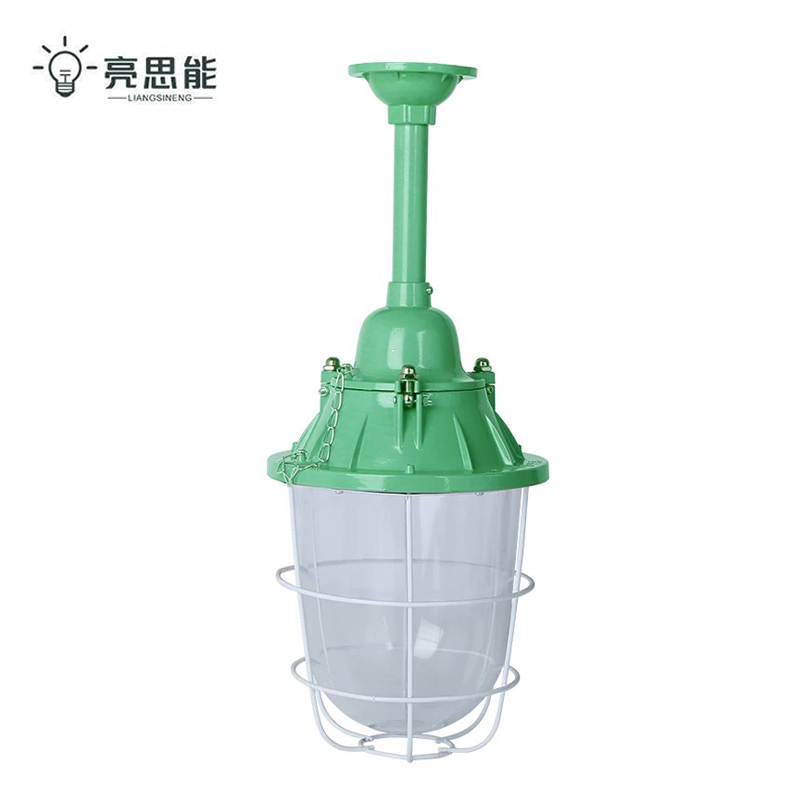 亮思能 LED防爆灯 隔爆型照明灯 250型+50W球泡 LSN-1370/个