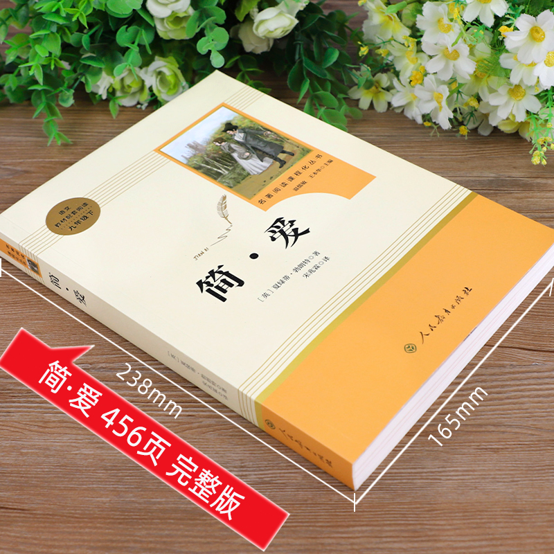 [配套人教版]简爱和儒林外史 [正版]人教版 简爱书籍原著人民教育出版社九年级下册必读课外书 初三9下文学名著初中课外阅高清大图