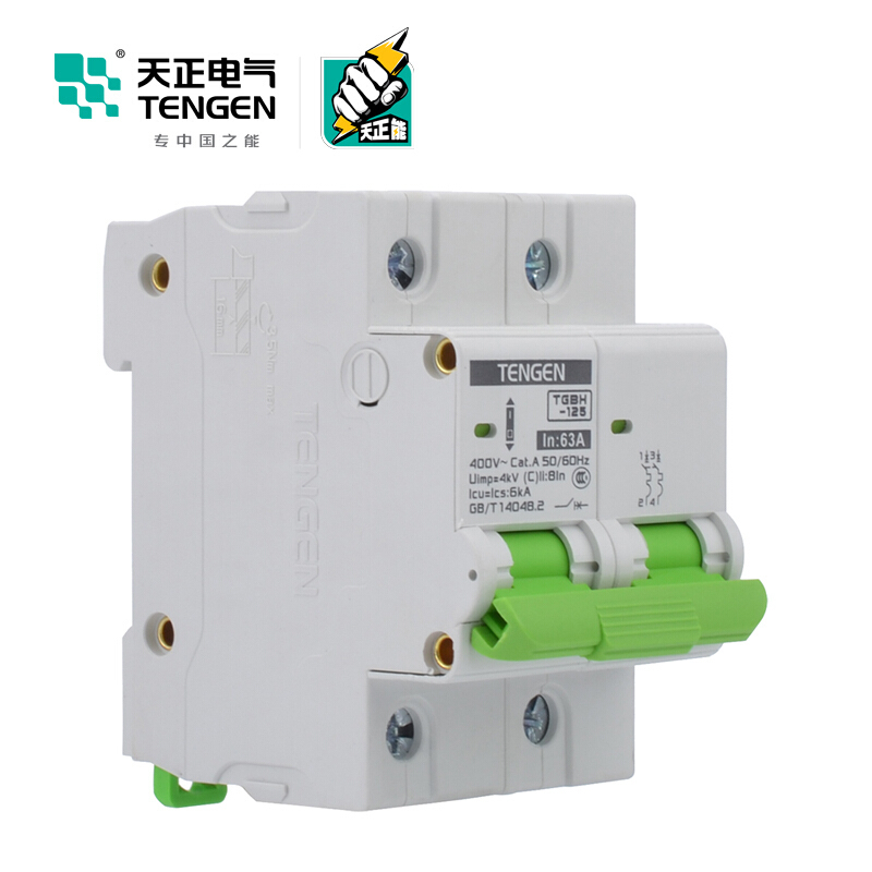 天正电气瑞彩系列TGBH-125 空气开关 6KA 2P C 63A 335013800241 微型断路器