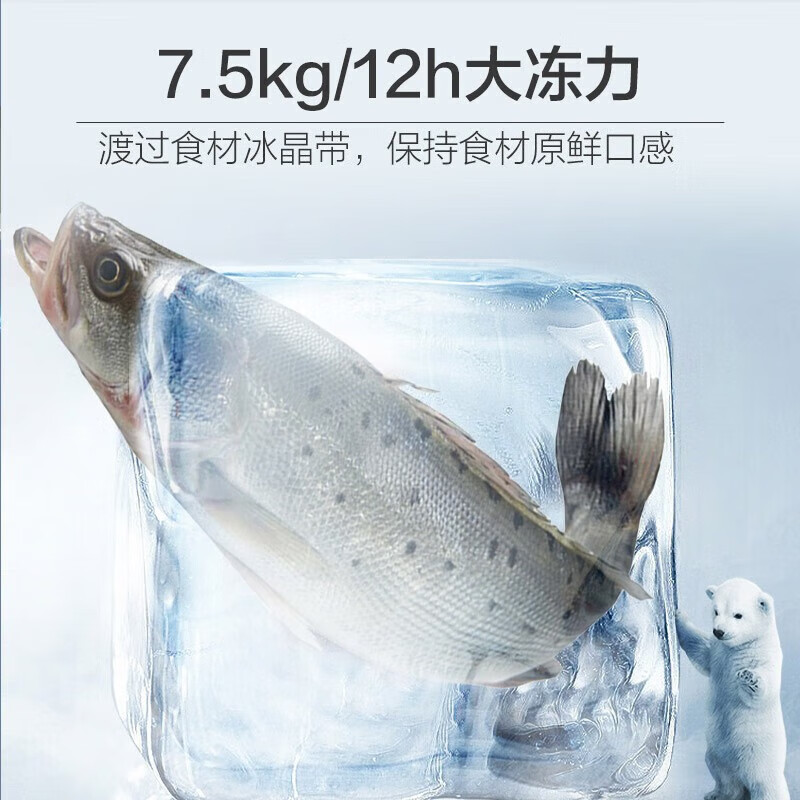 海尔(Haier)对开门冰箱521升容量 风冷无霜双开门电冰箱家用双变频节能净味 BCD-521WGHSSEDSD高清大图