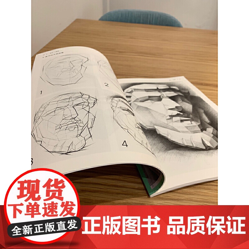素描·石膏像——零起点美术技法入门系列高清大图
