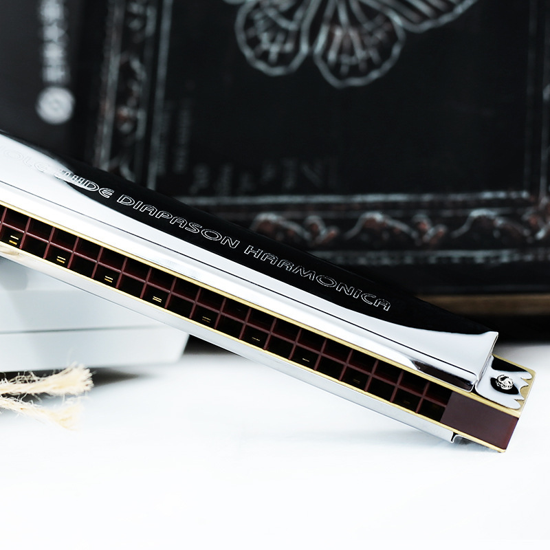 天鹅口琴复音重音28孔宽音域c调初学者成人比赛专业演奏乐器