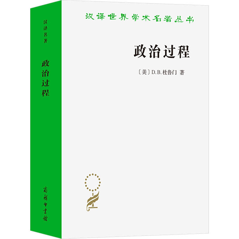 [M]政治过程 政治利益与公共舆论-9787100225915高清大图