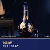 [郎酒官方授权]郎酒 青花郎 53度 酱香型 白酒 500ml*2瓶 双瓶装