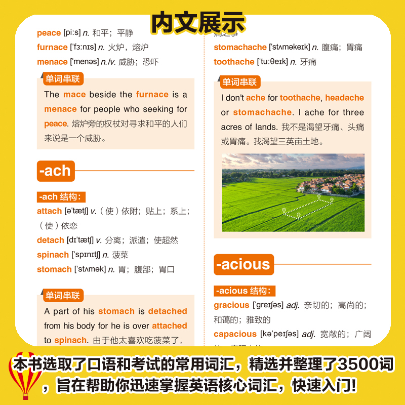 [全10册]基础单词+八上数学专项 小学通用 [正版]初中英语单词3500词汇记背神器大全学1个会3个小学初中入门自学零高清大图