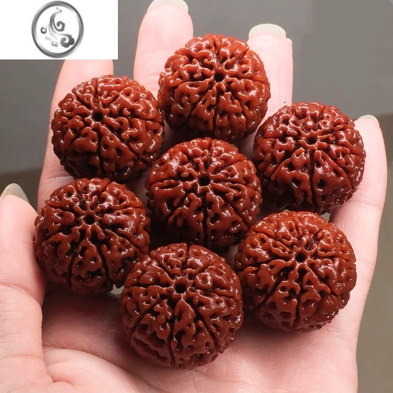 jimi尼泊尔大金刚菩提手串男盘玩冷门文玩原籽满肉散珠佛珠念珠手链女