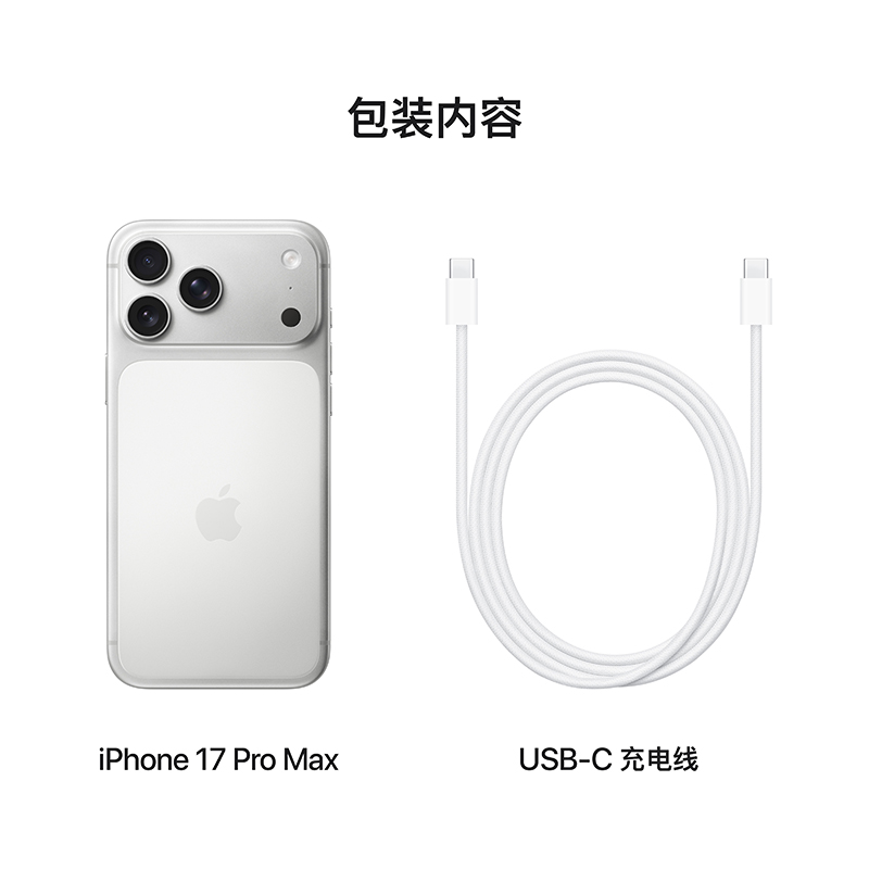Apple iPhone 17 Pro Max 256G 银色[需现场签收激活]5G全网通手机 全新正品国行高清大图