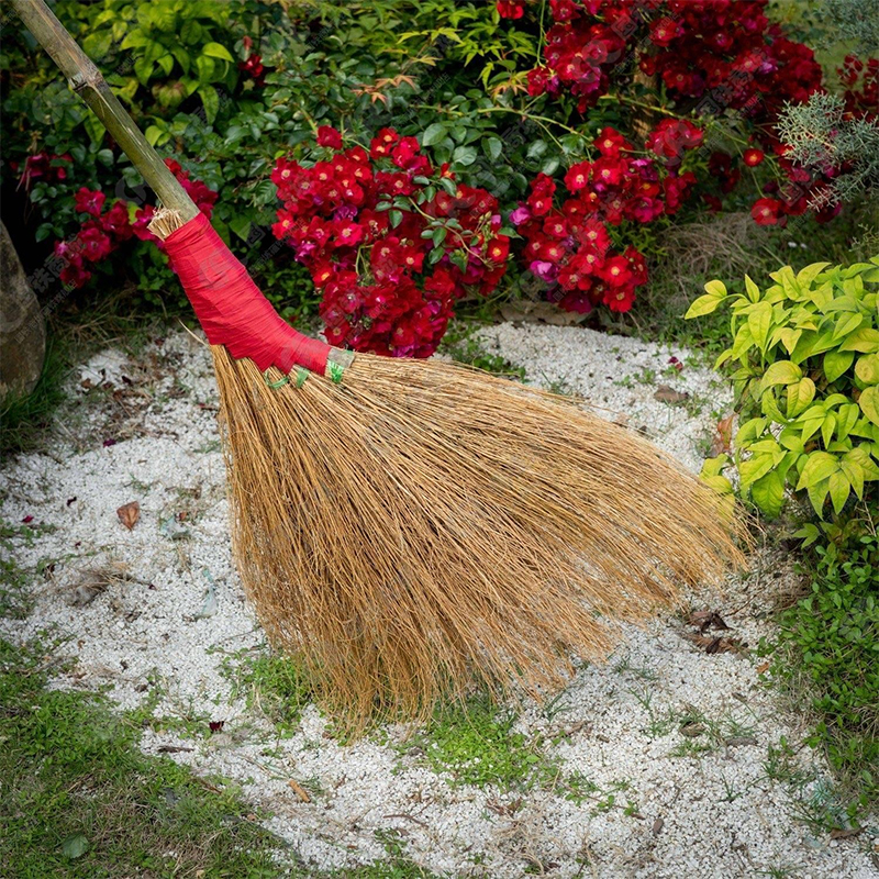 蕴铁扫把高清大图