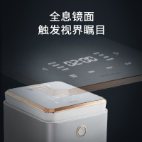 大宇(DAEWOO)电饭煲电饭锅 4L 家用IH电磁加圆灶精铁内胆FB01白色